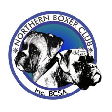 Northern_Boxer_Club__Logo_designed_by_Jabulani_design_studio_Centurion