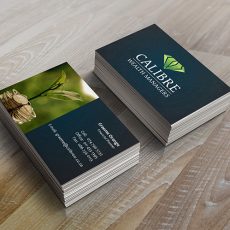 Calibre_Wealth_Logo_design_by_Jabulani_Design_Studio_Centurion