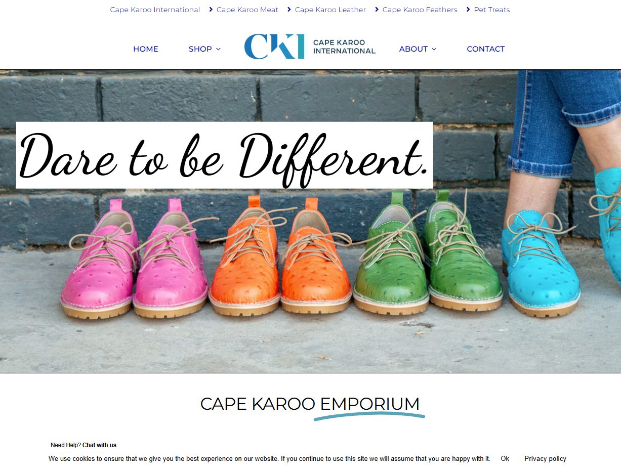 E-Commerce Websites - E-Commerce website Dare to be different